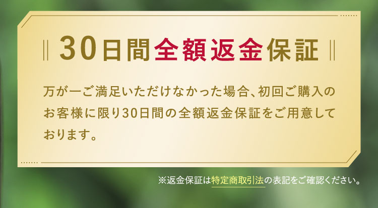 30日間全額返金保証