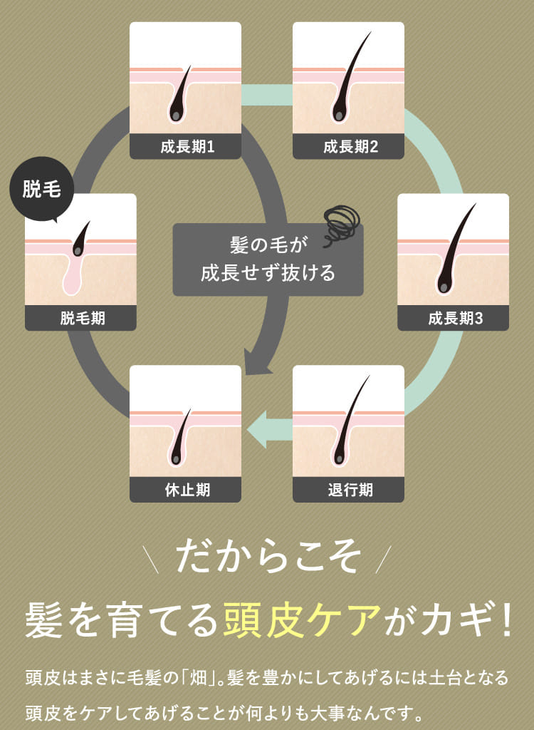 だからこそ髪を育てる頭皮ケアがカギ！