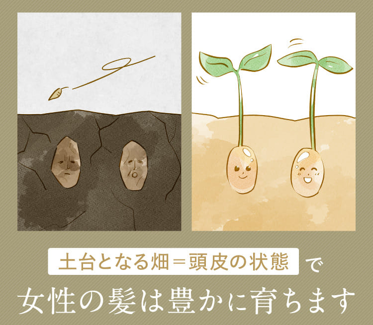 土台となる畑＝頭皮の状態で女性の髪は豊かに育ちます