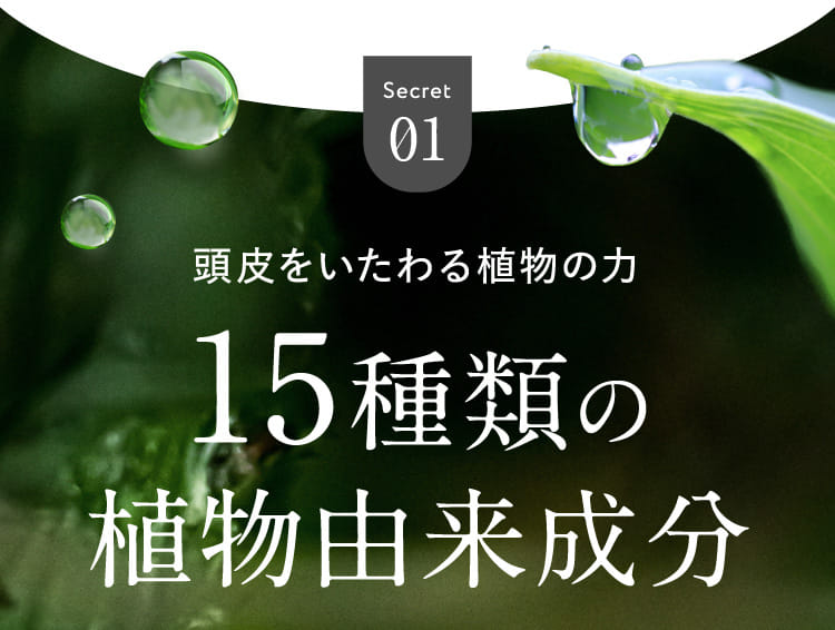Secret01 頭皮をいたわる植物の力 15種類の植物由来成分