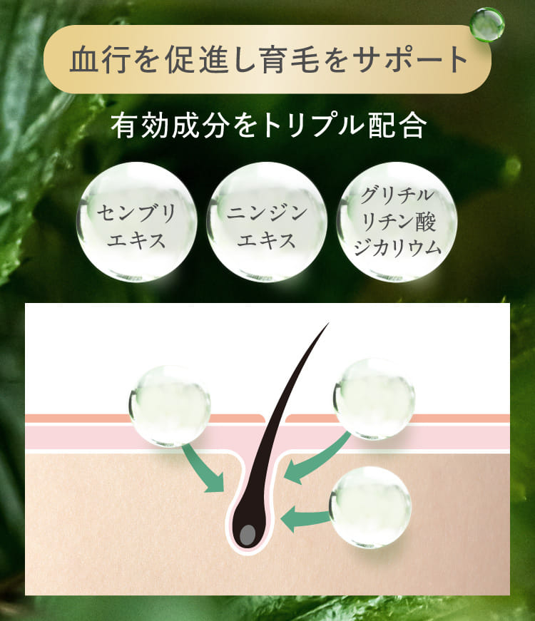 血行を促進し育毛をサポート 有効成分をトリプル配合