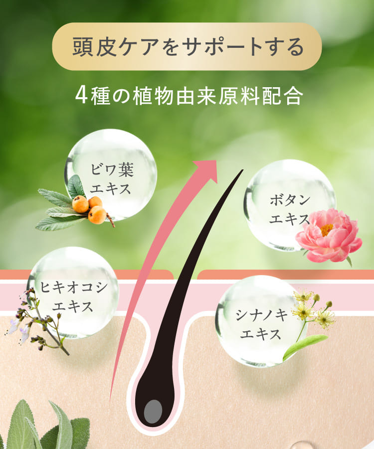 頭皮ケアをサポートする 4種の植物由来原料配合