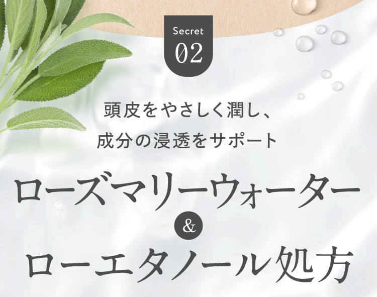 Secret02 頭皮をやさしく潤し、成分の浸透をサポート ローズマリーウォーター&ローエタノール処方