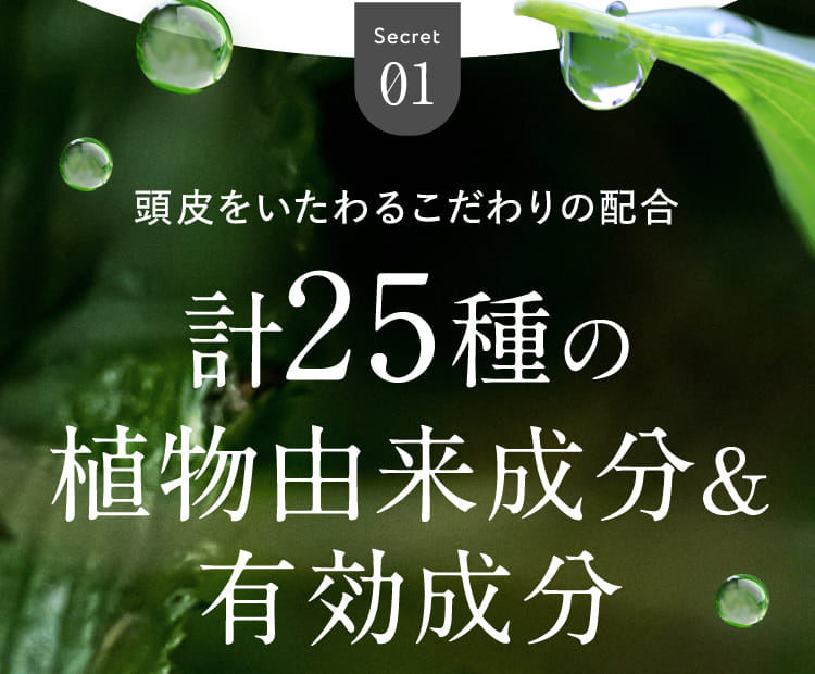 頭皮をいたわるこだわりの配合25種類の植物由来成分&有効成分