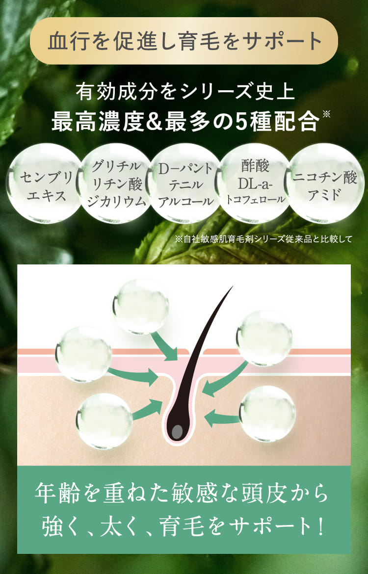 血行を促進し育毛をサポート
