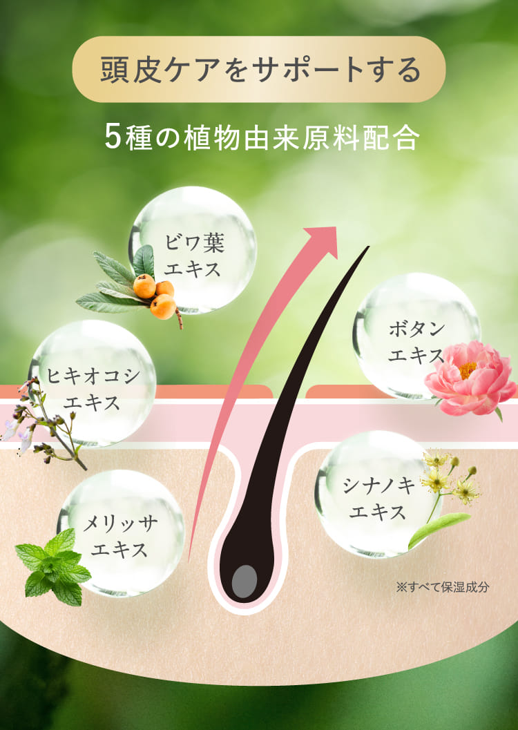 頭皮ケアをサポートする